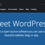 Screenshot of WordPress website