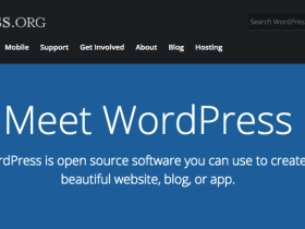 Screenshot of WordPress website