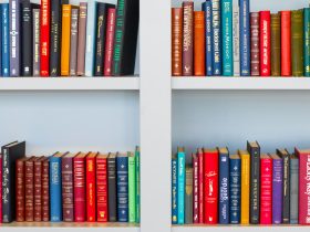 Lots of books placed on white wooden shelf