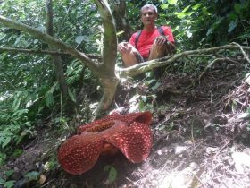 Csaba in Borneo