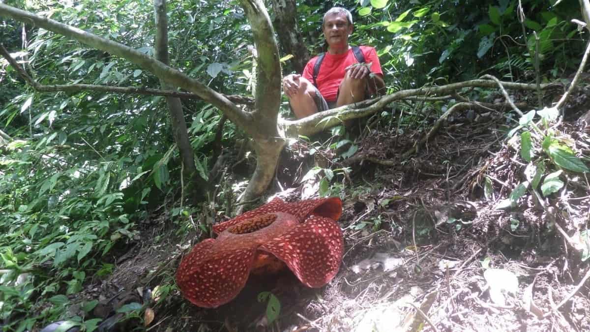 Csaba in Borneo