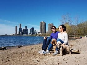 Stephanie and Gillian with their dogs in Toronto Canada