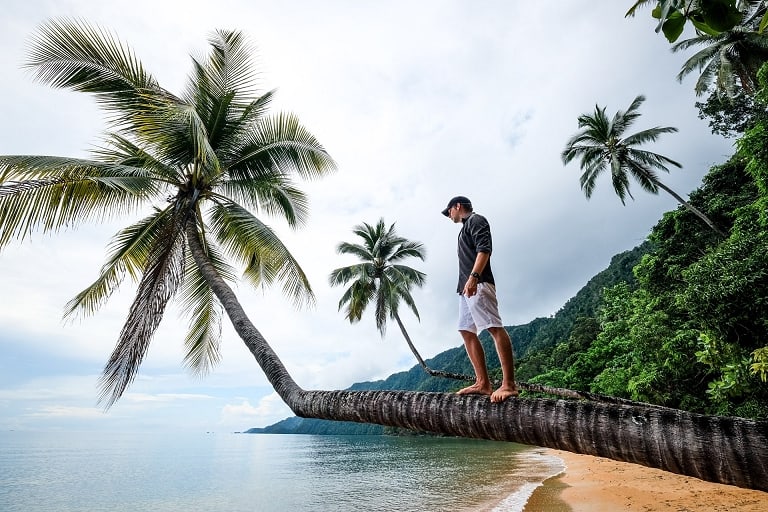 David standing on a palm tree