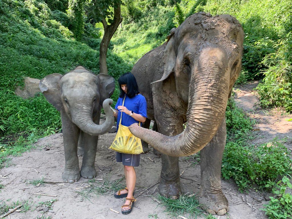 Jessica Ayre in Thailand with elephants
