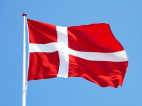 the Danish flag