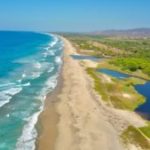 blue ocean next to the sand and green areas aerial view