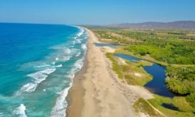 blue ocean next to the sand and green areas aerial view