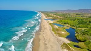 aerial shot of beach and forrest