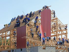 A very large group of people collectively building a house together