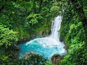 A rushing waterfall flows into an emerald blue pool below with lush vegetation and cliffs around it