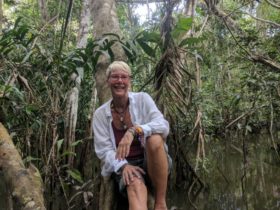 Candy sits on a downed tree in the jungle with lots of green plants around her