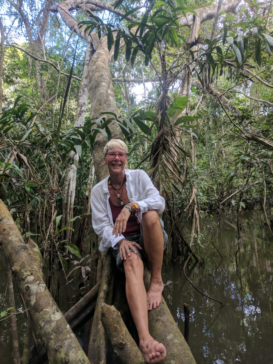 Candy sits on a downed tree in the jungle with lots of green plants around her