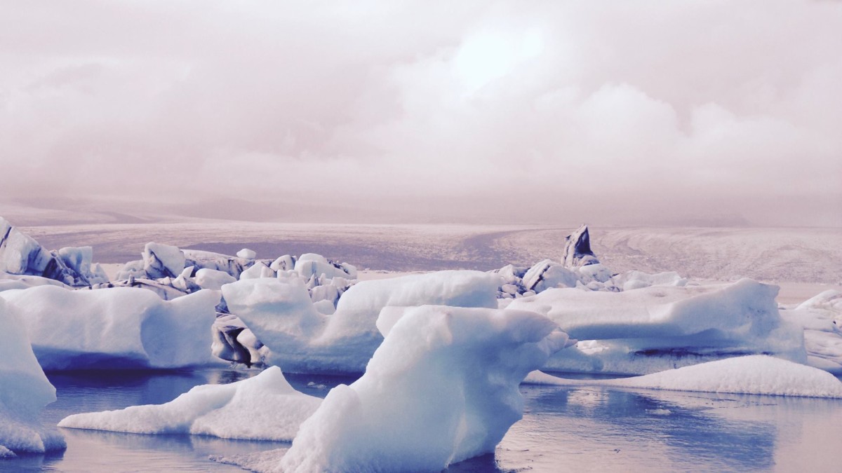 Ice chunks floating in the water in front of a large field of solid ice in Iceland with a purple and blue tint to the surroundings