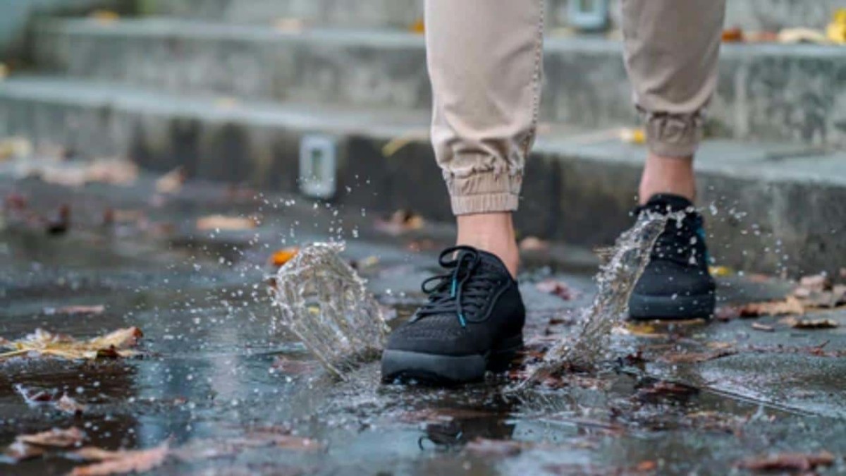 Vessi Waterproof Shoes