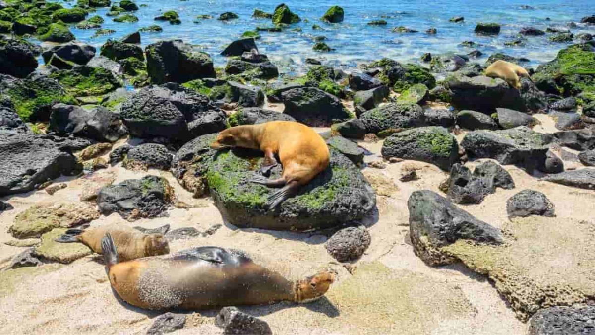 Galapagos Islands, Ecuador