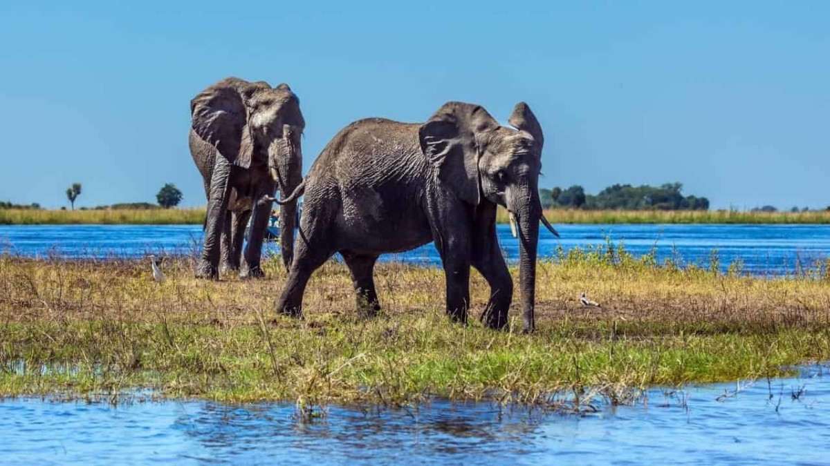 Botswana